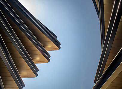 Tax Alert: Efiling Profile Hijackings – We Need Your Input!
